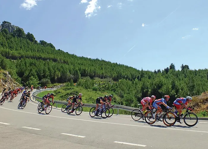 Lägenhet In With Wifi